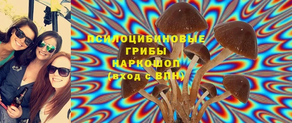 apvp Абдулино