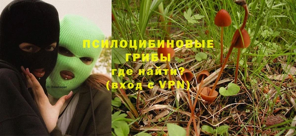 твердый Абаза